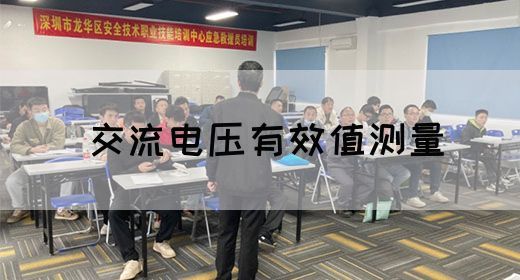【交流电】交流电压有效值测量(图1)