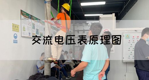【交流电】交流电压表原理图