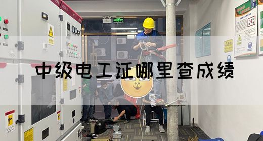 中级电工证哪里查成绩