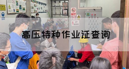 高压特种作业证查询