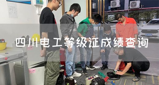 四川电工等级证成绩查询