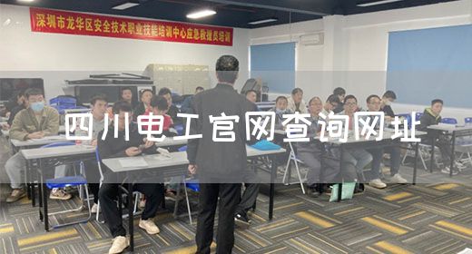 四川电工官网查询网址