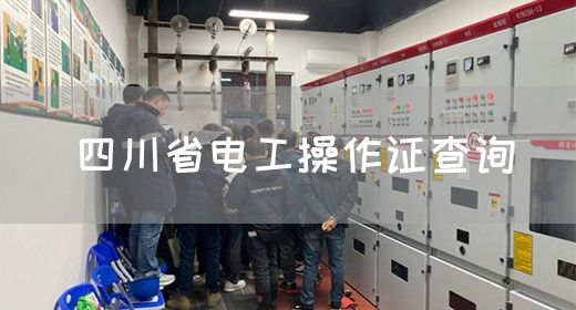 四川省电工操作证查询