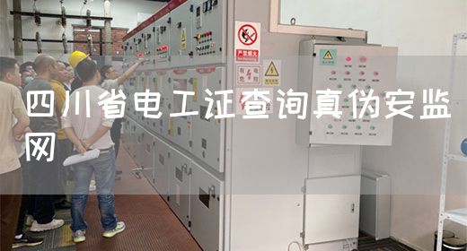 四川省电工证查询真伪安监网