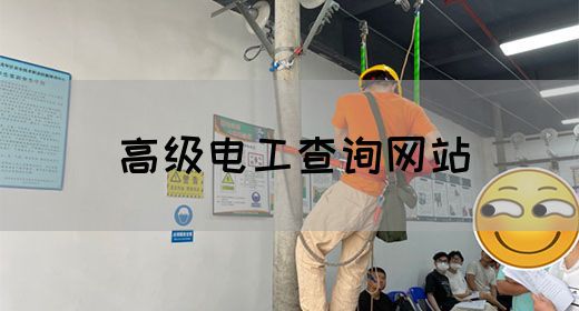 高级电工查询网站