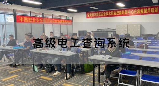 高级电工查询系统