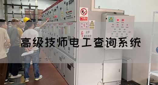 高级技师电工查询系统