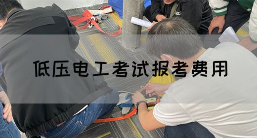 低压电工考试报考费用