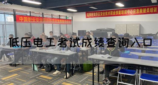 低压电工考试成绩查询入口