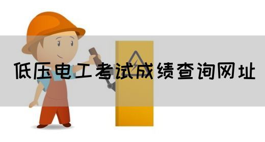 低压电工考试成绩查询网址