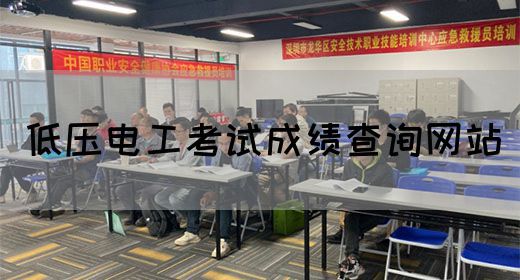 低压电工考试成绩查询网站