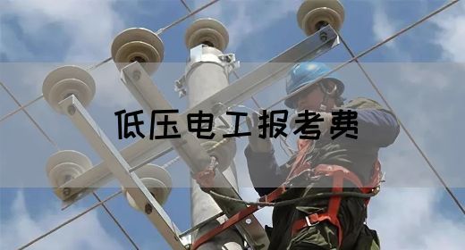 低压电工报考费