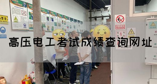 高压电工考试成绩查询网址