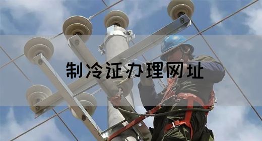制冷证办理网址