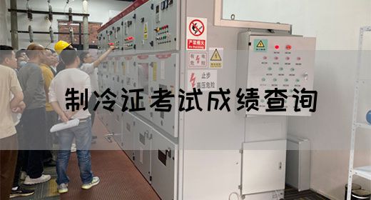 制冷证考试成绩查询