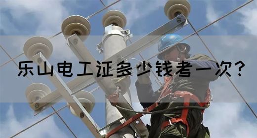 乐山电工证多少钱考一次？