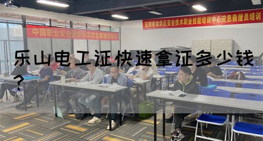 乐山电工证快速拿证多少钱？