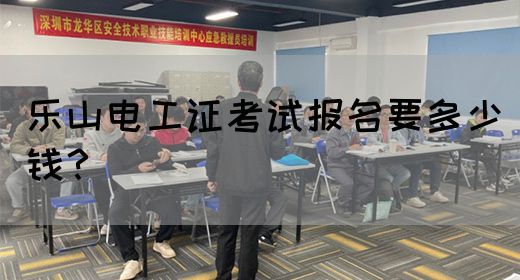 乐山电工证考试报名要多少钱？
