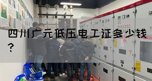 四川广元低压电工证多少钱？