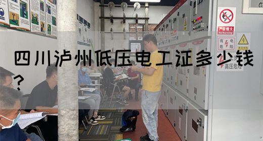 四川泸州低压电工证多少钱？