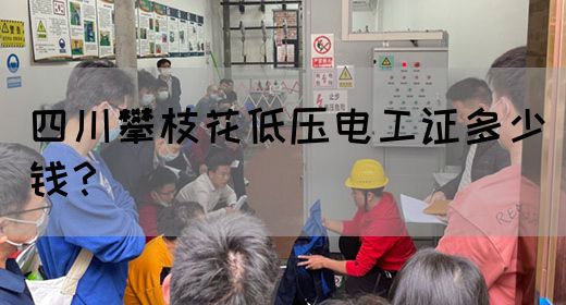 四川攀枝花低压电工证多少钱？