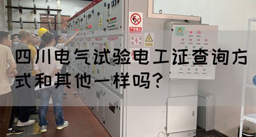四川电气试验电工证查询方式和其他一样吗？