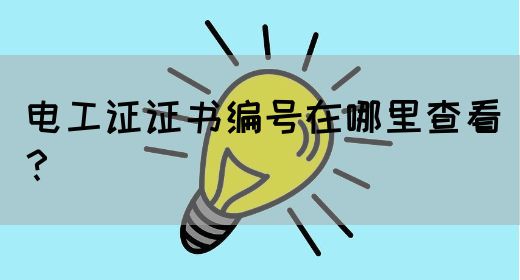 电工证证书编号在哪里查看？