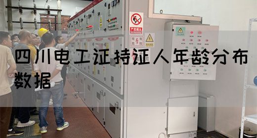 四川电工证持证人年龄分布数据
