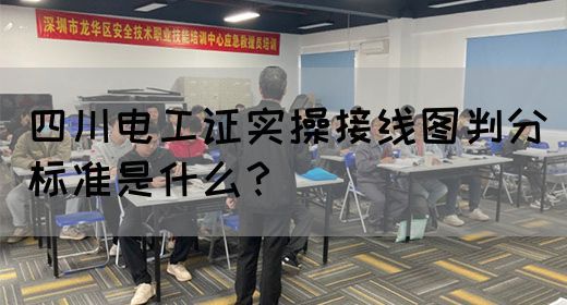 四川电工证实操接线图判分标准是什么？