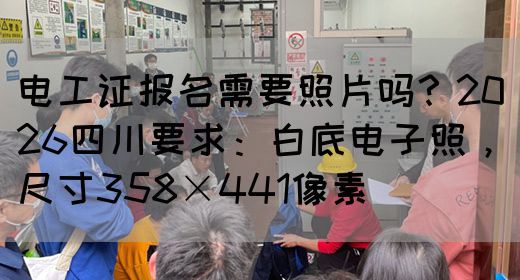 电工证报名需要照片吗？2026四川要求：白底电子照，尺寸358×441像素‌(图1)